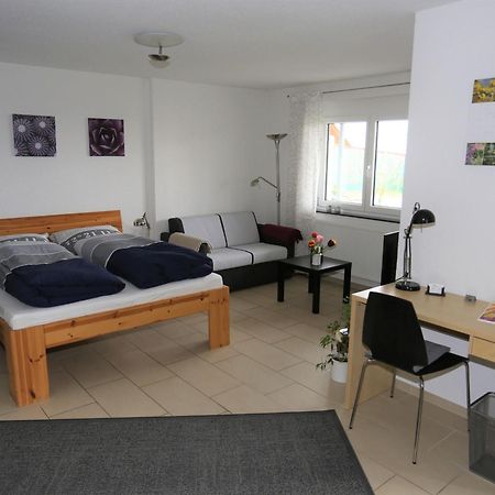 Ferienwohnung Rheingeschaut Bad Bellingen Exteriér fotografie